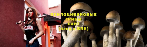 бутират Ханты-Мансийск