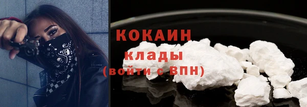 гидропоника Менделеевск