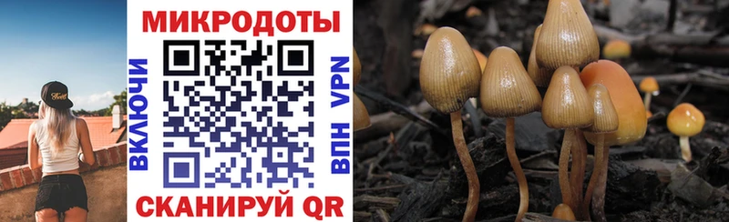 Галлюциногенные грибы мицелий Ставрополь